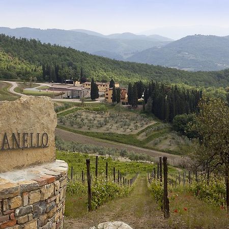 Agriturismo Panzanello Panzano in Chianti Kültér fotó