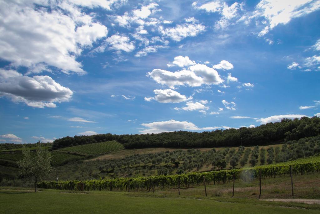 Agriturismo Panzanello Panzano in Chianti Kültér fotó