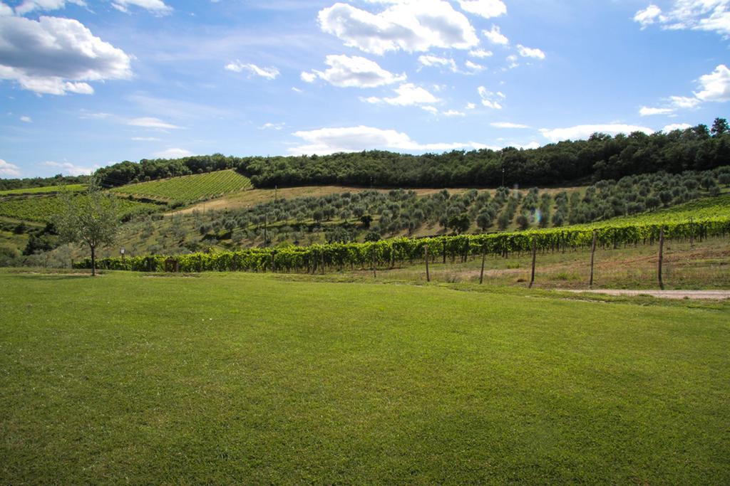 Agriturismo Panzanello Panzano in Chianti Kültér fotó